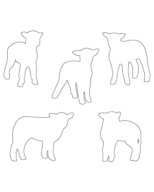 Lamb Patterns