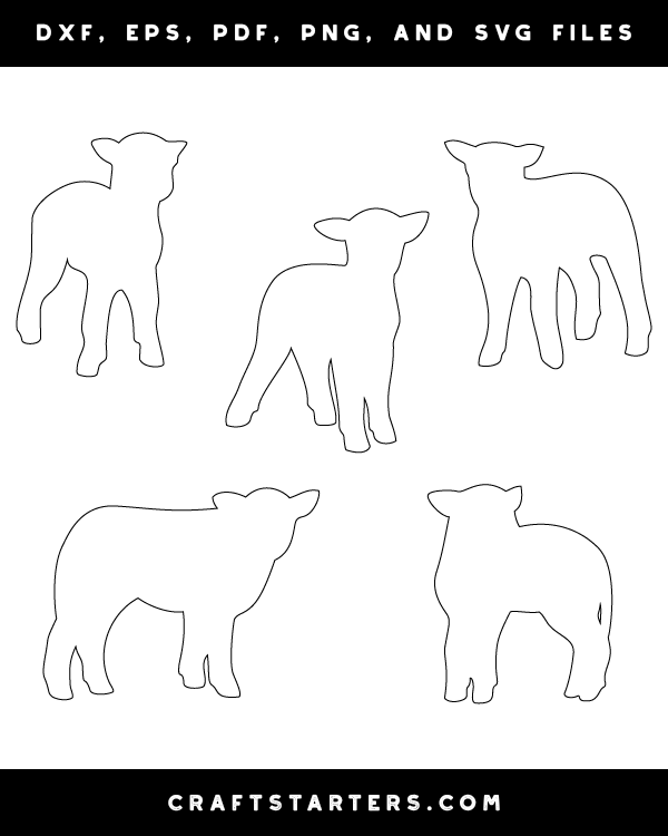 Lamb Patterns