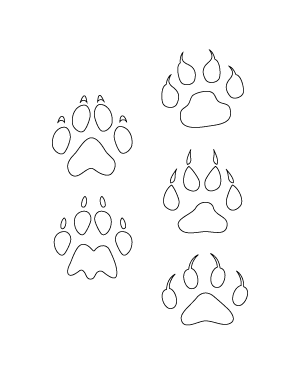 Lion Paw Print Patterns