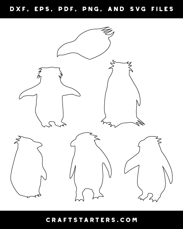 Macaroni Penguin Patterns