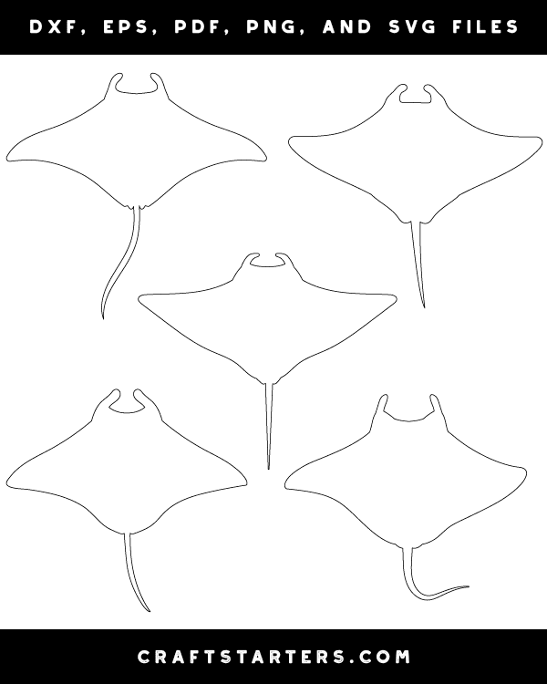 Manta Ray Top View Patterns