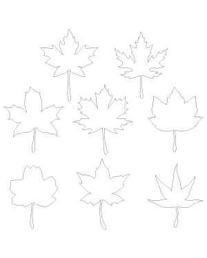 Maple Leaf Patterns