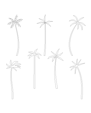 Minimalist Palm Tree Patterns