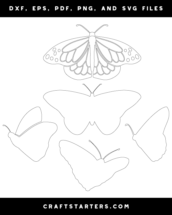 Monarch Butterfly Patterns