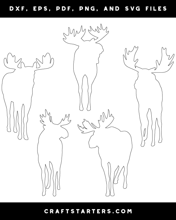 Moose Front View Patterns