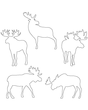Moose Patterns