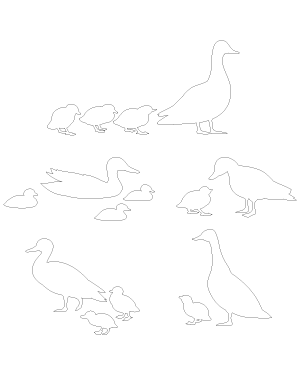 Mother Duck and Ducklings Patterns