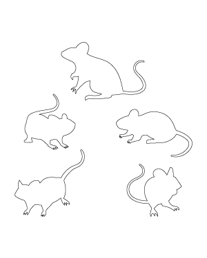 Mouse Patterns