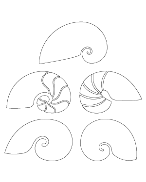 Nautilus Shell Patterns