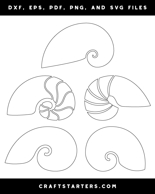 Nautilus Shell Patterns