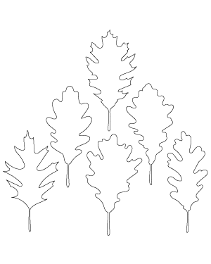 Oak Leaf Patterns
