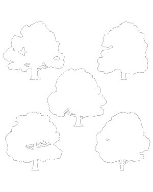 Oak Tree Patterns