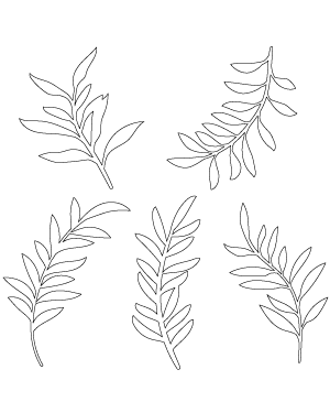 Olive Branch Patterns