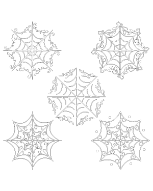 Ornate Spider Web Patterns