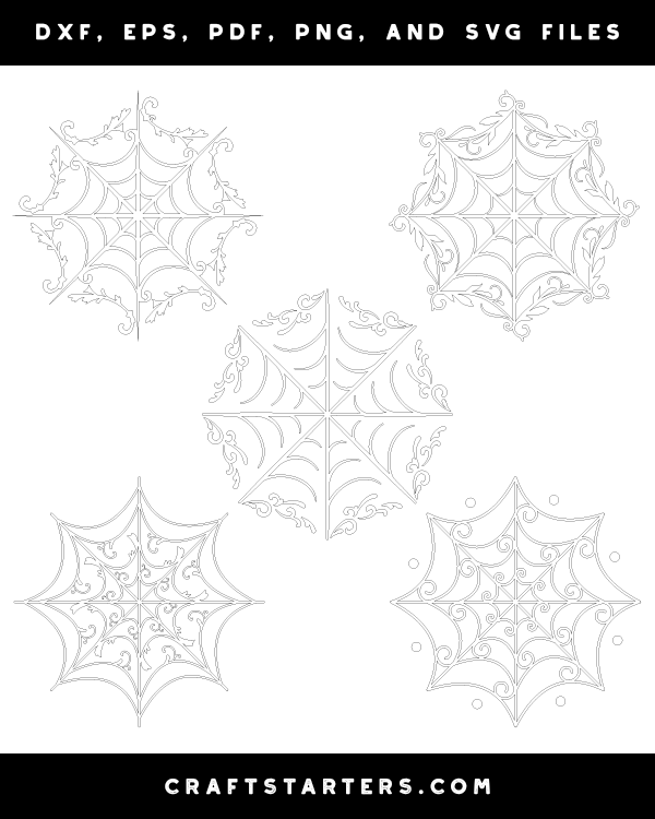 Ornate Spider Web Patterns