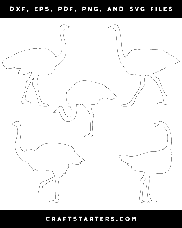 Ostrich Side View Patterns
