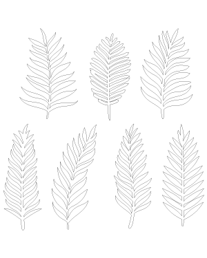 Palm Branch Patterns