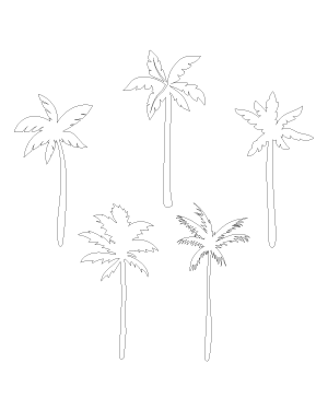 Palm Tree Patterns