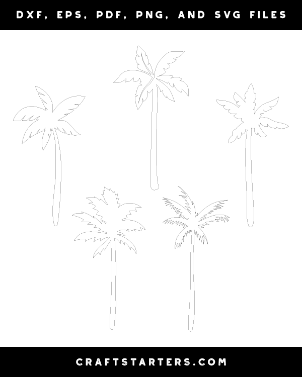 Palm Tree Patterns