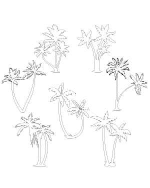 Palm Trees Patterns