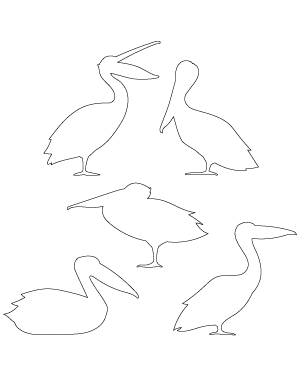 Pelican Side View Patterns