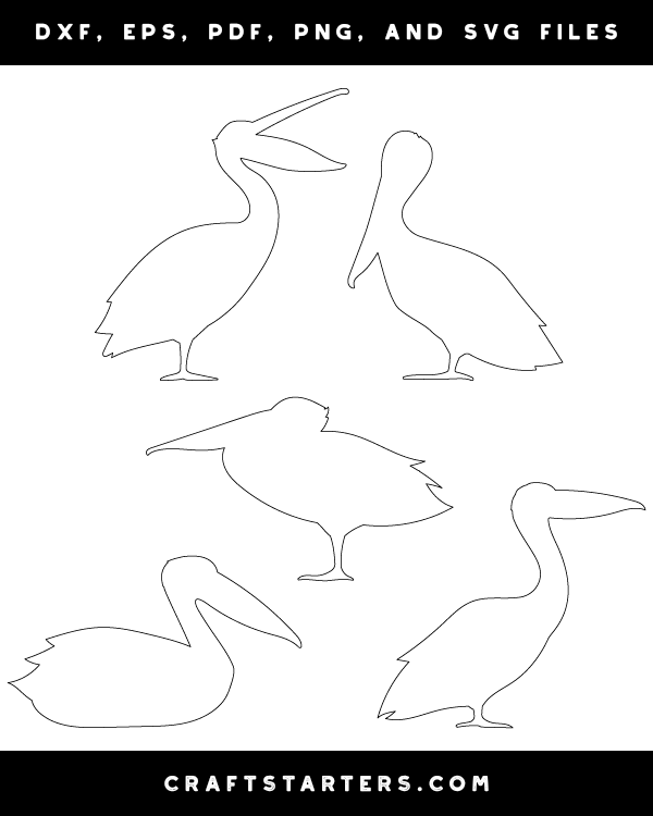 Pelican Side View Patterns
