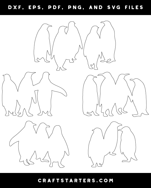 Penguin Colony Patterns