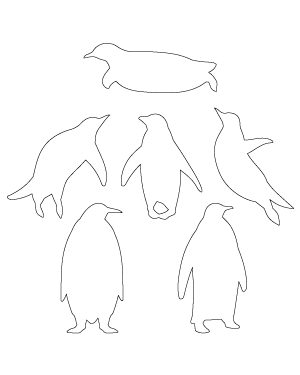 Penguin Patterns