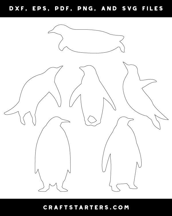 Penguin Patterns