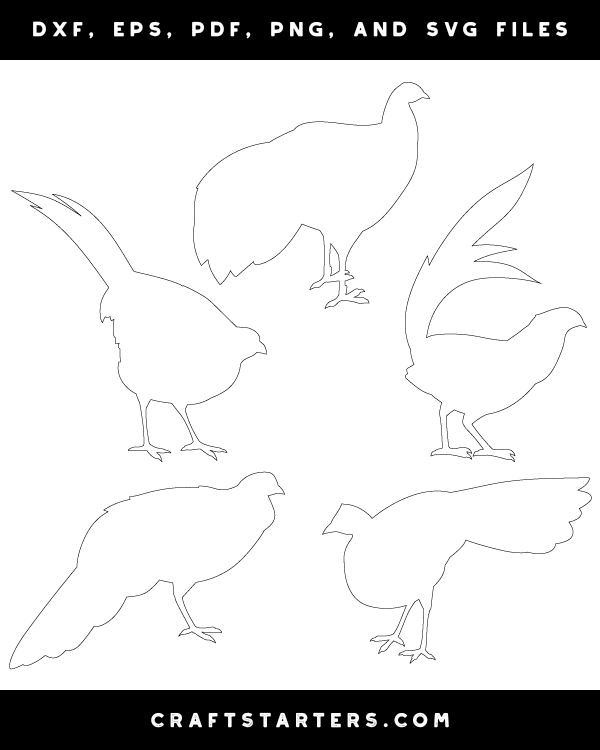 Pheasant Patterns