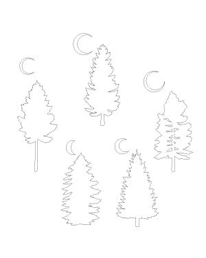 Pine Tree And Moon Patterns