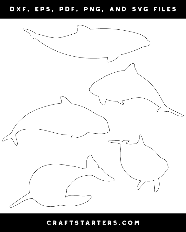 Porpoise Patterns
