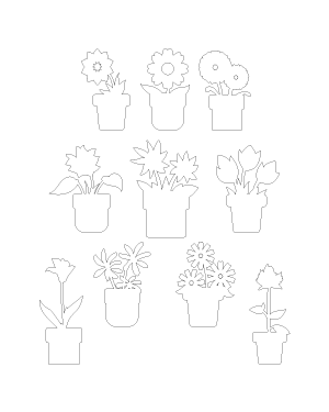 Potted Flower Patterns