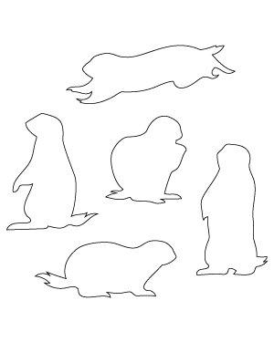 Prairie Dog Patterns