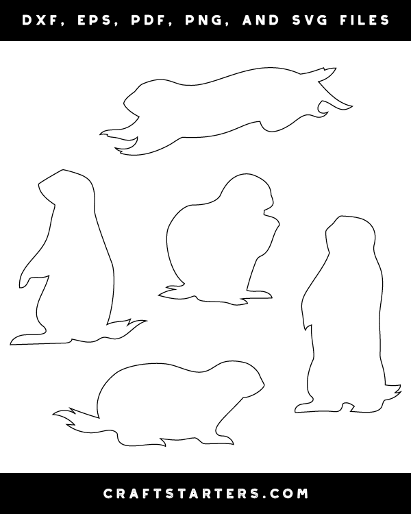 Prairie Dog Patterns