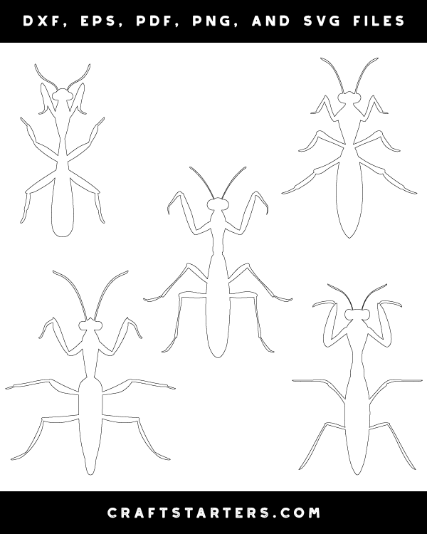 Praying Mantis Top View Outline Patterns: DFX, EPS, PDF, PNG, and SVG Cut Files