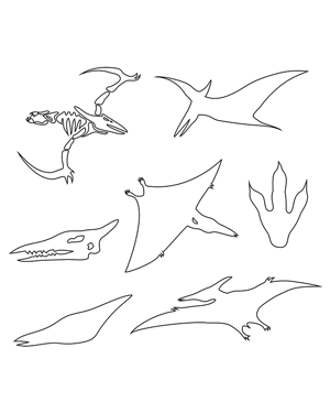 Pterodactyl Patterns