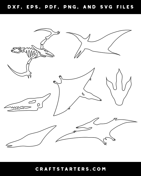 Pterodactyl PNG Transparent Images Free Download, Vector Files