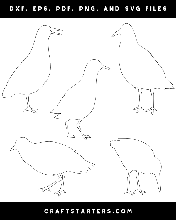 Rail Bird Patterns