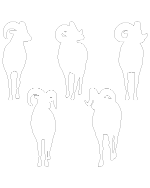 Ram Front View Patterns