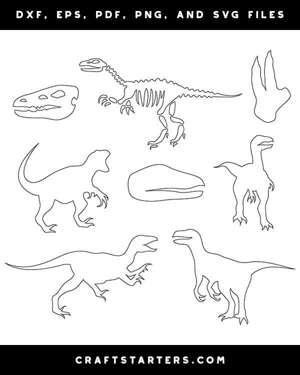 Raptor Patterns