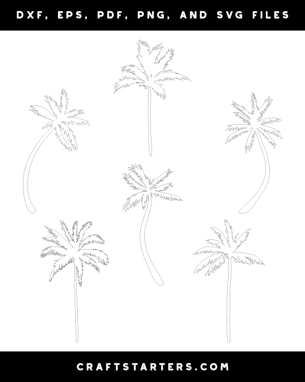Realistic Palm Tree Patterns