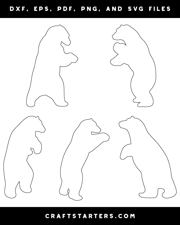 Rearing Polar Bear Patterns