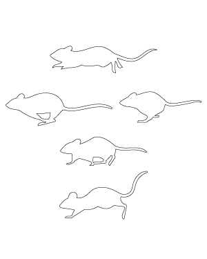 Running Mouse Patterns