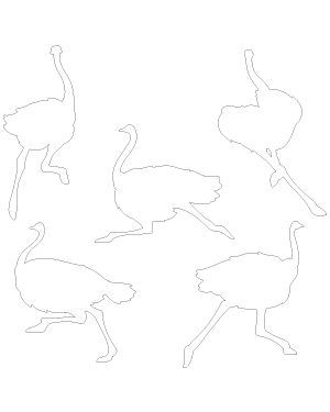 Running Ostrich Patterns