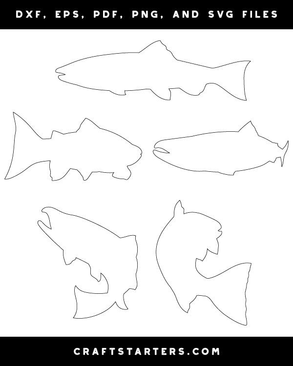 Salmon Patterns