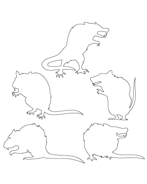 Scary Rat Patterns