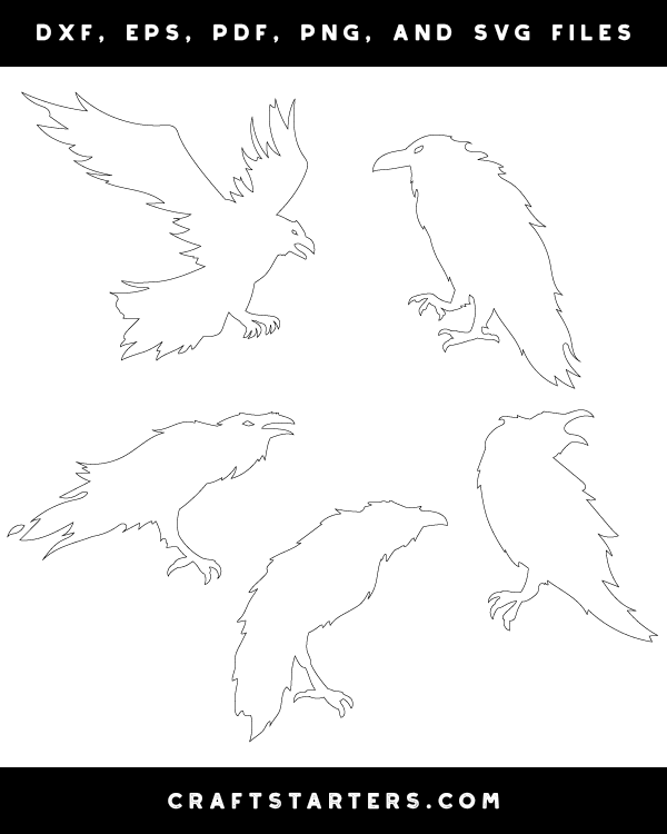 Scary Raven Patterns
