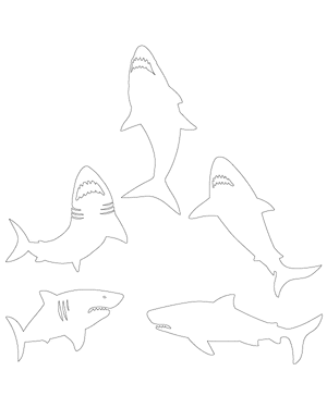 Scary Shark Patterns