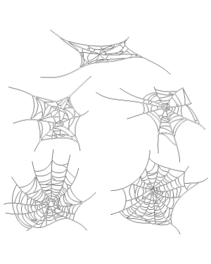 Scary Spider Web Patterns